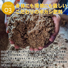 画像をギャラリービューアに読み込む, 【鳥取県青谷町産】幸水 秀品 3kg(6〜10個) ひかり農園 8月中旬頃順次発送開始予定