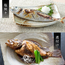 画像をギャラリービューアに読み込む, 【鳥取/鳥取港】獲れたて鮮魚 夫婦セット 3〜5種類(2人前)