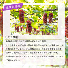 画像をギャラリービューアに読み込む, 【鳥取県北栄町産】 デラウェア 秀品 800g(400gパック×2)