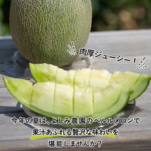 画像をギャラリービューアに読み込む, 【北栄町産】ペルルメロン 2玉セット(1.8kg~/1玉)
