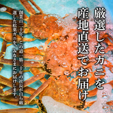 画像をギャラリービューアに読み込む, 【兵庫/浜坂港】<訳あり>ボイル親ガニ(セコガニ)冷凍 足折れ1~2本あり 11月10日以降順次出荷