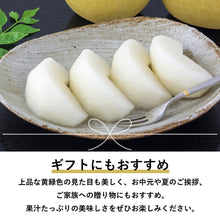 画像をギャラリービューアに読み込む, 【鳥取県青谷町産】二十世紀梨 秀品 3kg(6~10玉) ひかり農園 9月上旬頃順次発送開始予定