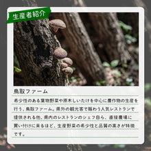 画像をギャラリービューアに読み込む, 【鳥取/八頭町産】肉厚原木生しいたけ とっとり115 2月10日より順次出荷開始