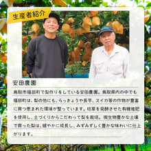 画像をギャラリービューアに読み込む, 【鳥取県福部町産】訳あり 王秋 5kg 安田農園