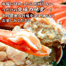 画像をギャラリービューアに読み込む, 【兵庫/浜坂港】〈着日指定不可〉二枚皮松葉ガニ 2枚セット(約900g〜1.1kg) 11月下旬出荷予定