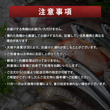画像をギャラリービューアに読み込む, 【鳥取/鳥取港】獲れたて鮮魚 夫婦セット 3〜5種類(2人前)