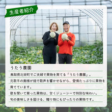 画像をギャラリービューアに読み込む, 【北栄町産】プリモレッド 3玉セット(1.8kg前後/1玉)