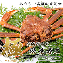 画像をギャラリービューアに読み込む, 【鳥取/鳥取港】<極> 極撰松葉ガニ 最高級品 1kg級 ブランドタグ付 11月10日以降順次発送