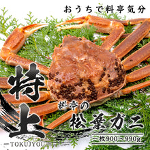 画像をギャラリービューアに読み込む, 【鳥取/鳥取港】<特上> 極撰松葉ガニ 最高級品 900g級 ブランドタグ付 11月12日以降順次発送