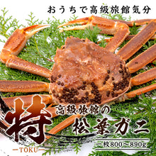 画像をギャラリービューアに読み込む, 【鳥取/鳥取港】<特> 極撰松葉ガニ 最高級品 800g級 ブランドタグ付 11月10日以降順次発送