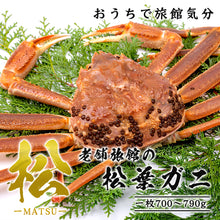 画像をギャラリービューアに読み込む, 【鳥取/鳥取港】<松> 極撰松葉ガニ 最高級品 700g級 ブランドタグ付 11月10日以降順次発送