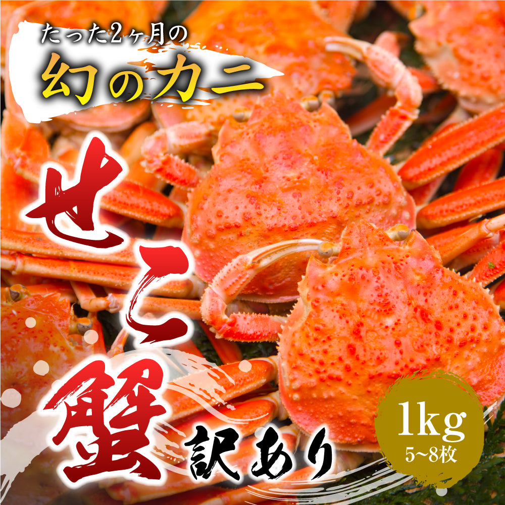 鳥取/網代港】＜訳あり＞親ガニ(セコガニ) 1kgセット(5～8枚入り) 足