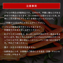 画像をギャラリービューアに読み込む, 【鳥取/境港】<訳あり> ボイル紅ズワイガニ B級 700~790g