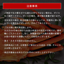 画像をギャラリービューアに読み込む, 【鳥取/境港】松葉ガニ A級(贈答用) タグ付 11月12日より順次出荷