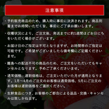 画像をギャラリービューアに読み込む, 【鳥取県産いちご】章姫 210g×4パック