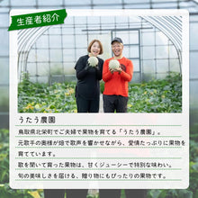 画像をギャラリービューアに読み込む, 【北栄町産】アールスディーバ 2玉セット(2kg前後/1玉)
