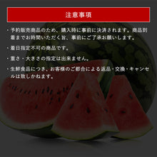 画像をギャラリービューアに読み込む, 【鳥取県産】大玉の大谷スイカ(8~10kg)6月中旬以降出荷