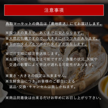 画像をギャラリービューアに読み込む, 【鳥取県産】天然岩牡蠣 夏輝(ラベル無) 中サイズ(1個/350~500g級)8月11日注文締切