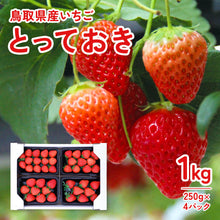 画像をギャラリービューアに読み込む, 【鳥取県産いちご】とっておき 1kg(250g×4パック)