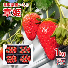 画像をギャラリービューアに読み込む, 【鳥取県産いちご】章姫 1kg(250g×4パック)