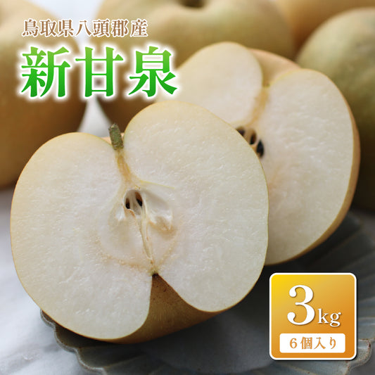 【鳥取県八頭郡産】新甘泉 秀品 はっとうフルーツ観光園 注文締切9月9日