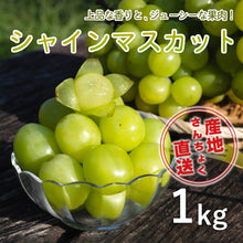 画像をギャラリービューアに読み込む, 【鳥取県産】シャインマスカット 1kg(2~3房) 9月20日以降順次発送