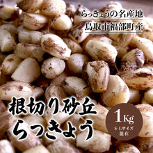 画像をギャラリービューアに読み込む, 【鳥取県産】根切り砂丘らっきょう 1kg サイズ不選別(SML混在) ご注文締切7月5日まで