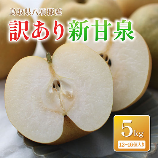 【鳥取県八頭郡産】訳あり新甘泉 5kg はっとうフルーツ観光園 9月上旬以降順次発送 注文締切9月9日
