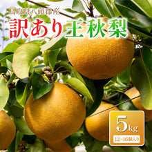 画像をギャラリービューアに読み込む, 【鳥取県八頭郡産】訳あり王秋梨 5kg はっとうフルーツ観光園 11月10日以降発送/11月9日注文締切
