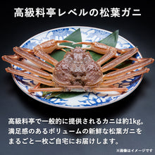 画像をギャラリービューアに読み込む, 【鳥取/鳥取港】<極> 極撰松葉ガニ 最高級品 1kg級 ブランドタグ付 11月10日以降順次発送
