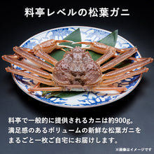 画像をギャラリービューアに読み込む, 【鳥取/鳥取港】<特上> 極撰松葉ガニ 最高級品 900g級 ブランドタグ付 11月12日以降順次発送