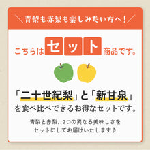画像をギャラリービューアに読み込む, 【鳥取県福部町産】二十世紀梨と新甘泉のミックスセット 秀品 東光園 注文締切9月13日