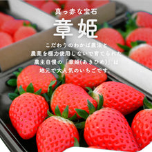 画像をギャラリービューアに読み込む, 【鳥取県産いちご】章姫 1kg(250g×4パック)