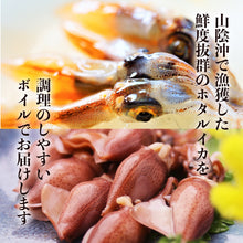 画像をギャラリービューアに読み込む, 【山陰沖産】〈着日指定不可〉ボイルホタルイカ(冷蔵)250gパック