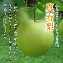 画像をギャラリービューアに読み込む, 【鳥取県八頭郡産】訳あり真寿梨 5kg はっとうフルーツ観光園 8月中旬以降順次発送 注文締切8月22日