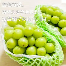 画像をギャラリービューアに読み込む, 【鳥取県産】シャインマスカット 1kg(2~3房) 9月20日以降順次発送