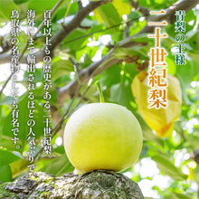 画像をギャラリービューアに読み込む, 【鳥取県八頭郡産】二十世紀梨 秀品 はっとうフルーツ観光園 9月中旬以降順次発送 注文締切9月9日