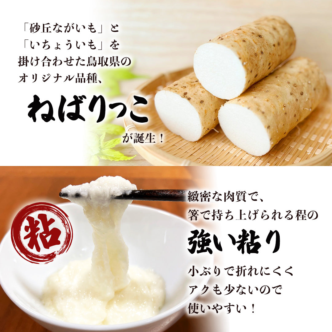 鳥取県産】ねばりっこ 業務用（10kg） – さんチョク