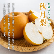 画像をギャラリービューアに読み込む, 【鳥取県八頭郡産】訳あり 秋月梨 はっとうフルーツ観光園 9月下旬以降順次発送/9月30日注文締切