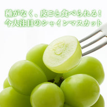画像をギャラリービューアに読み込む, 【鳥取県国府町産】万葉のしずく 大粒シャインマスカット 注文締切8月29日