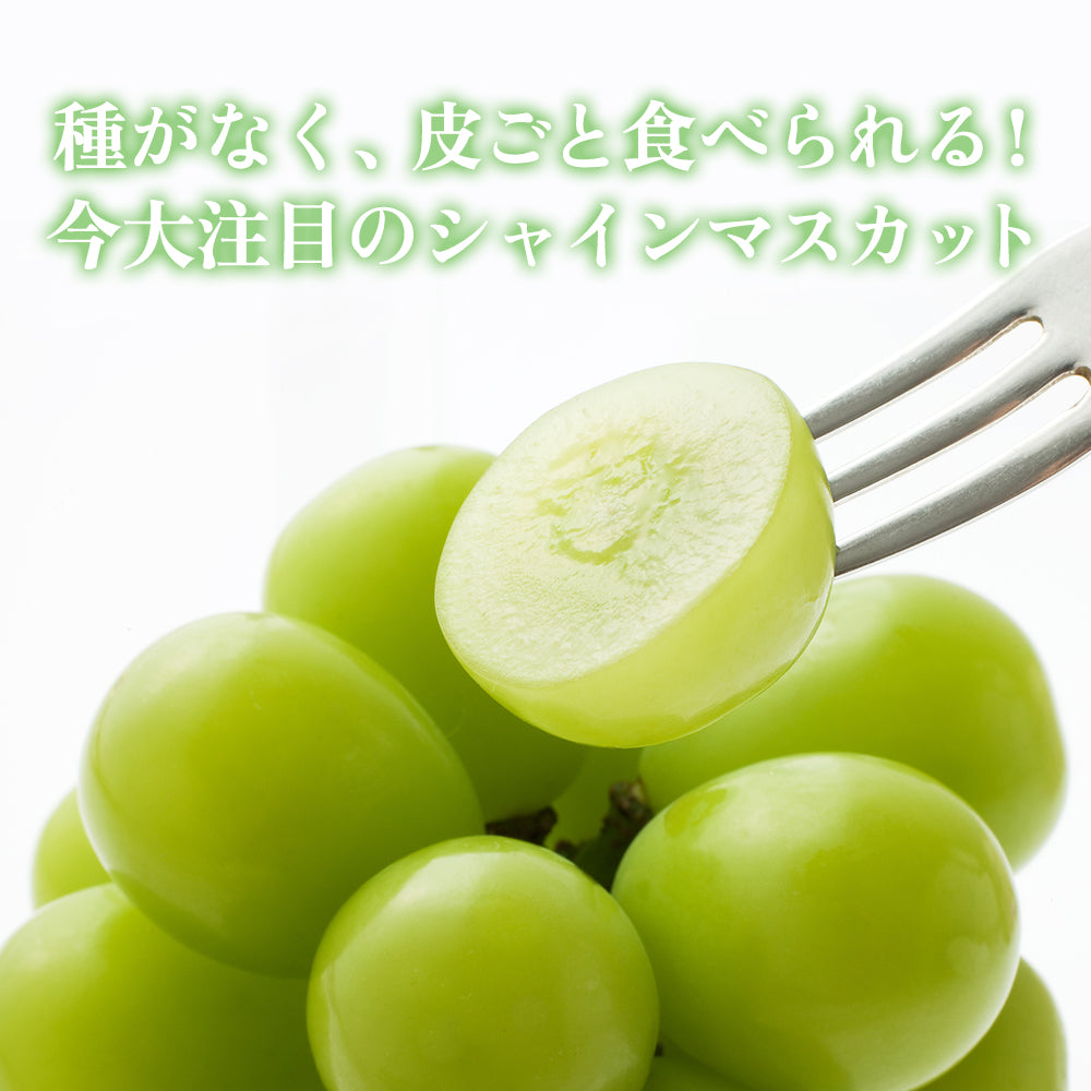 スイカ　シャインマスカット粒 Lサイズ シャインマスカット販売開始 - 果汁工房 果琳 - イオン
