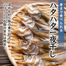 画像をギャラリービューアに読み込む, 【山陰沖産】ハタハタ一夜干し(冷凍) 小サイズ