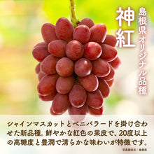 画像をギャラリービューアに読み込む, 9月1日順次発送/8月30日注文締切【島根県産】神紅&シャインマスカットの食べ比べセット 2房(400~500g/房) 家庭用