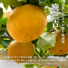 画像をギャラリービューアに読み込む, 【鳥取県八頭郡】晩三吉 秀品 5kg まる大農園 1月上旬以降順次発送