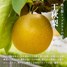 画像をギャラリービューアに読み込む, 【鳥取県八頭郡】王秋梨 秀品 5kg まる大農園 10月31日注文締切