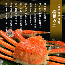 画像をギャラリービューアに読み込む, 【鳥取/境港】松葉ガニ A級(贈答用) タグ付 11月12日より順次出荷