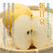 画像をギャラリービューアに読み込む, 【鳥取県八頭郡産】新甘泉 秀品 はっとうフルーツ観光園 注文締切9月9日