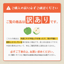 画像をギャラリービューアに読み込む, 【鳥取県八頭郡】訳あり王秋梨 5kg まる大農園 10月31日注文締切