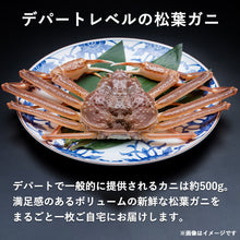 画像をギャラリービューアに読み込む, 【鳥取/鳥取港】<竹> 極撰松葉ガニ 最高級品 600g級 ブランドタグ付 11月12日以降順次発送
