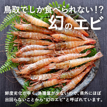 画像をギャラリービューアに読み込む, 《送料無料》【真空冷凍】猛者エビ(モサエビ)大中サイズ